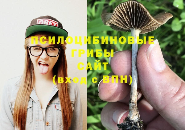 соль ск Балабаново