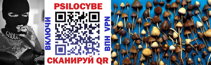 KRAKEN как зайти  Георгиевск  Псилоцибиновые грибы Psilocybine cubensis 